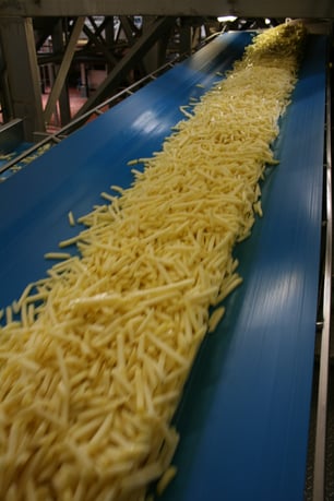 Fries by LBS Conveyor Belts 