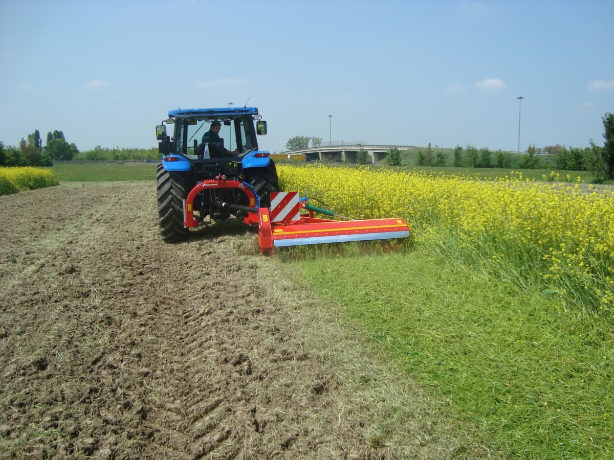 Fdit Courroie De Transmission Courroie De Tondeuse à Gazon à Quatre