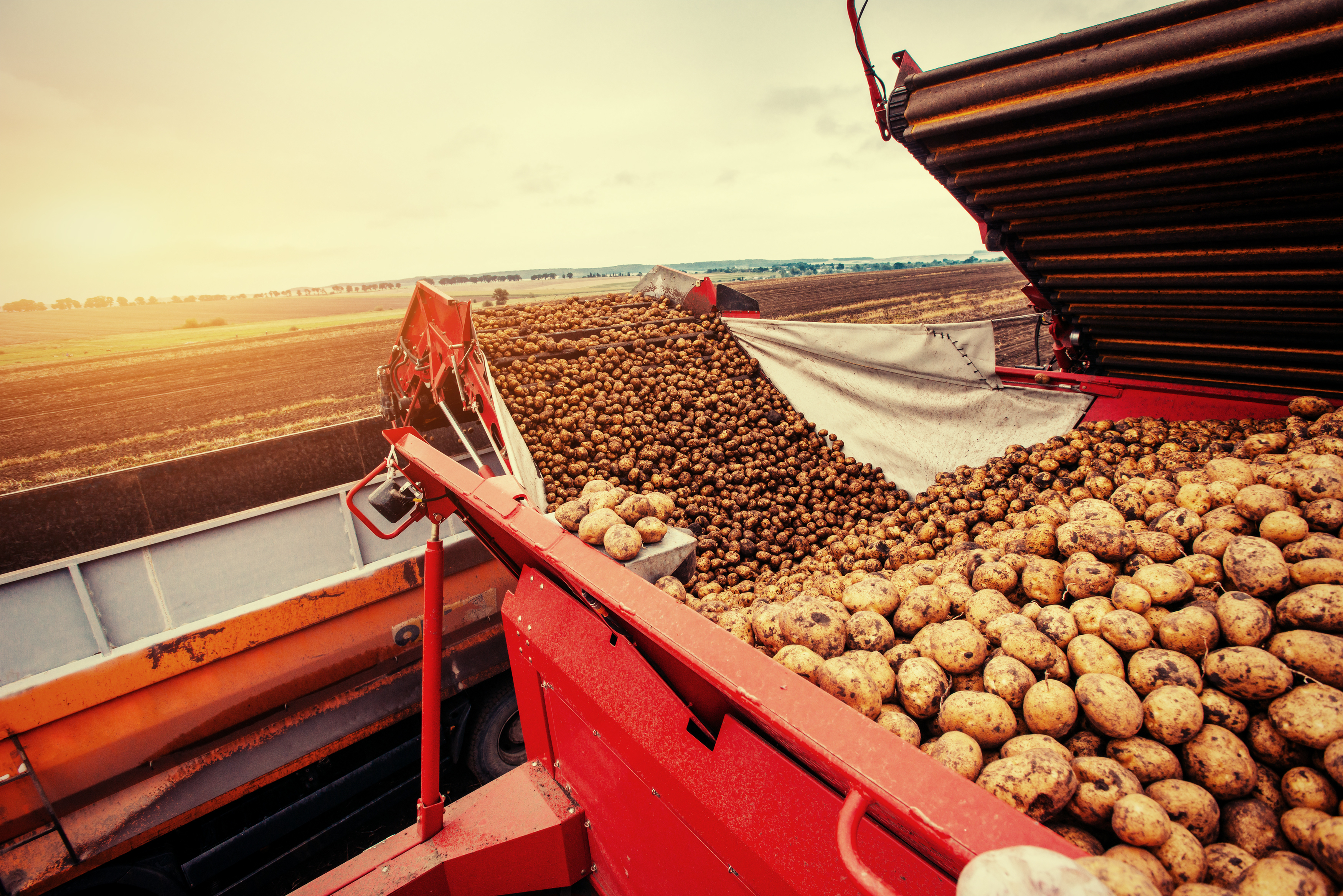 Agricultural LBS Conveyor Belts 