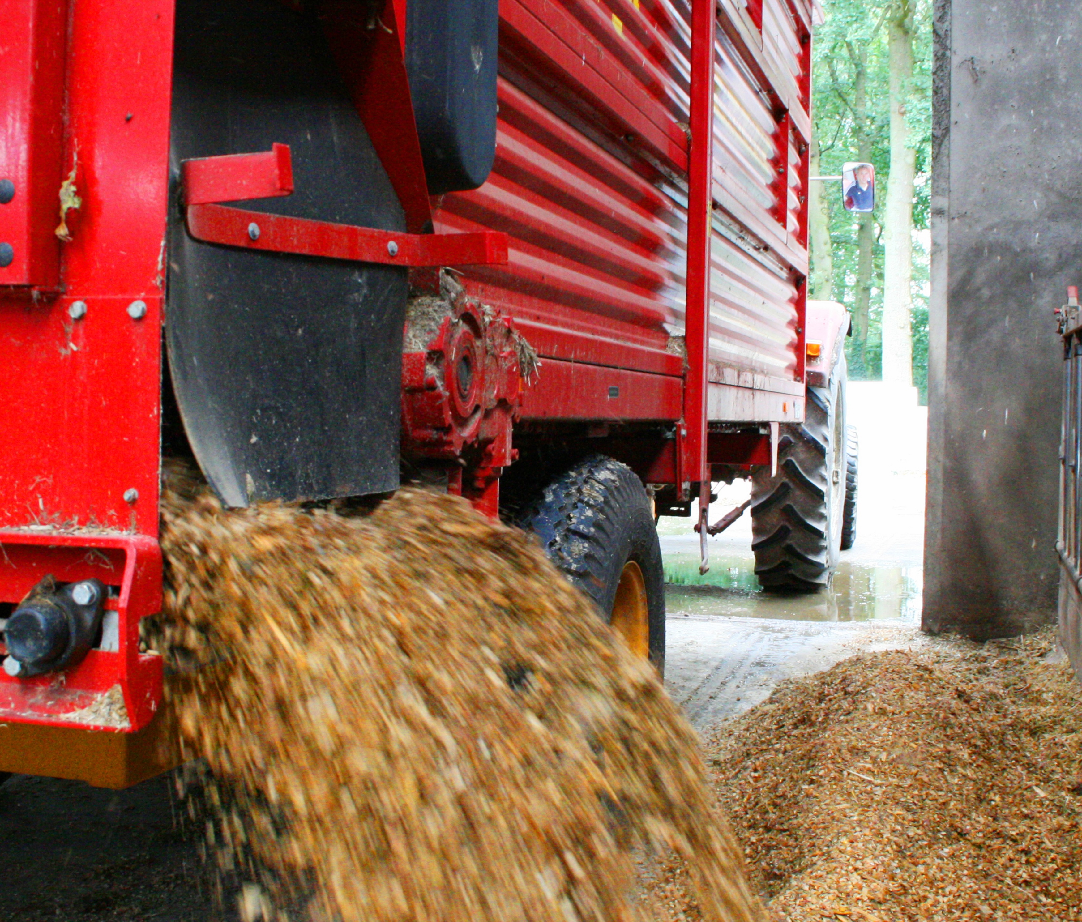 Bunker conveyor belts at agricultural sector 