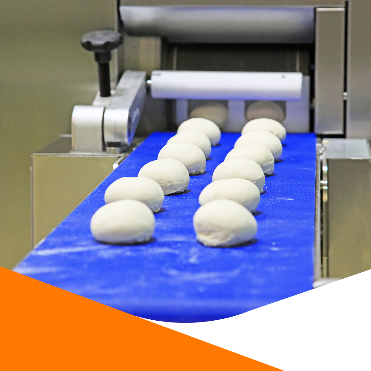 Conveyor belts for the food industry