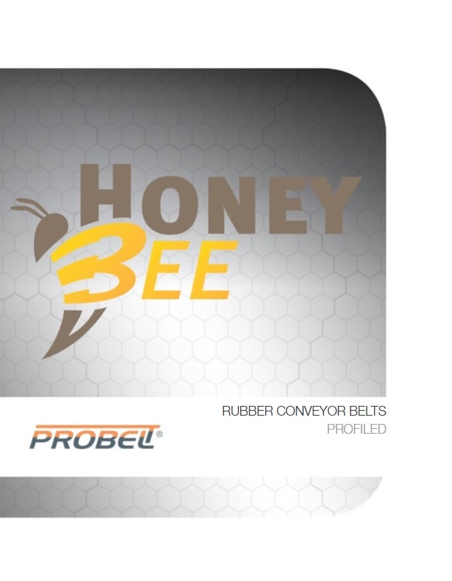 HoneyBee-2