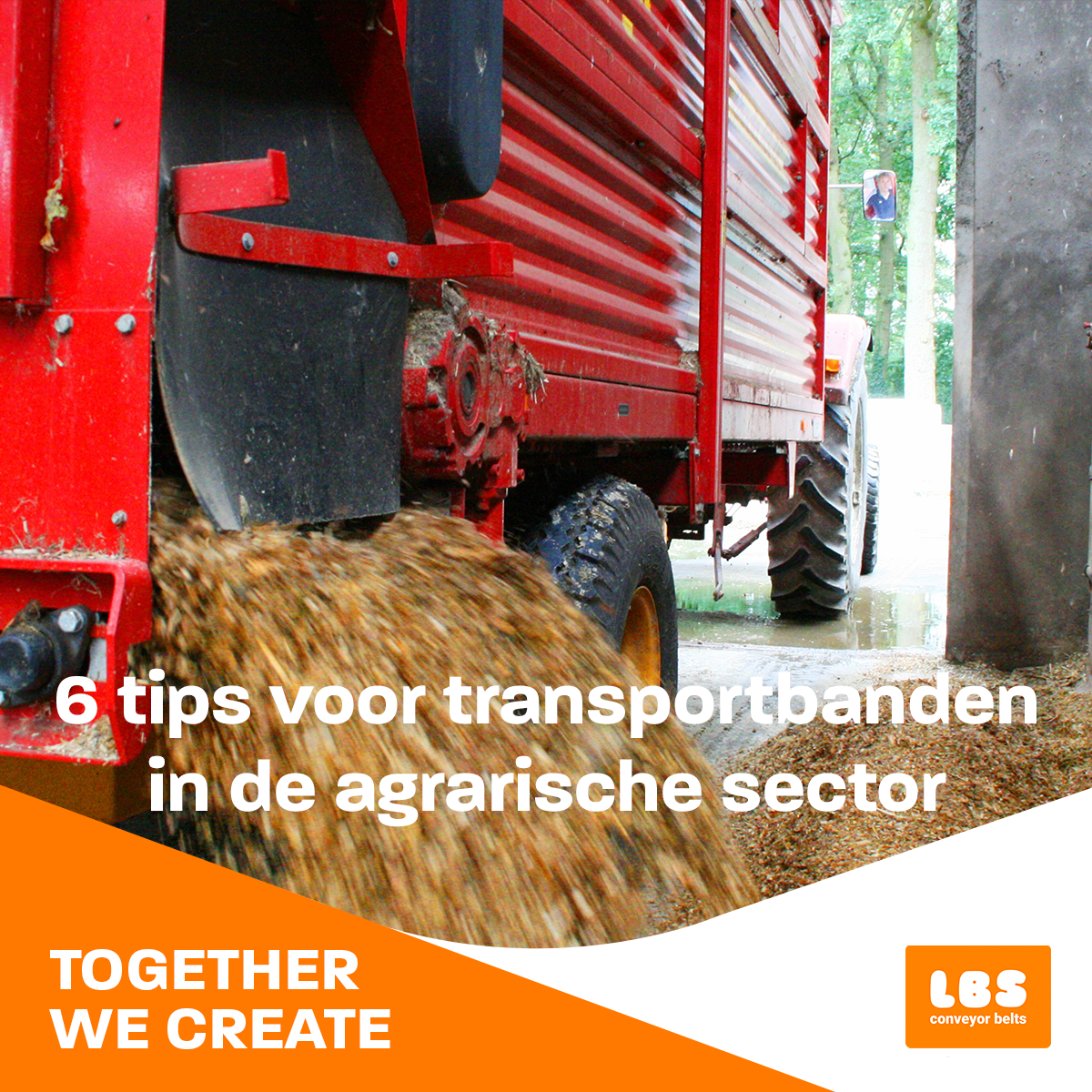 Transportbanden in de agrarische sector